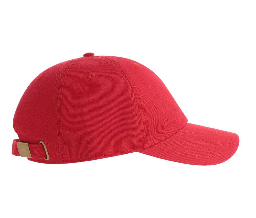 ATLANTIS HEADWEAR AT254 - 6-panel baseball cap